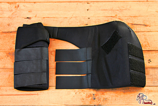 สนับปกป้องม้า protective boots